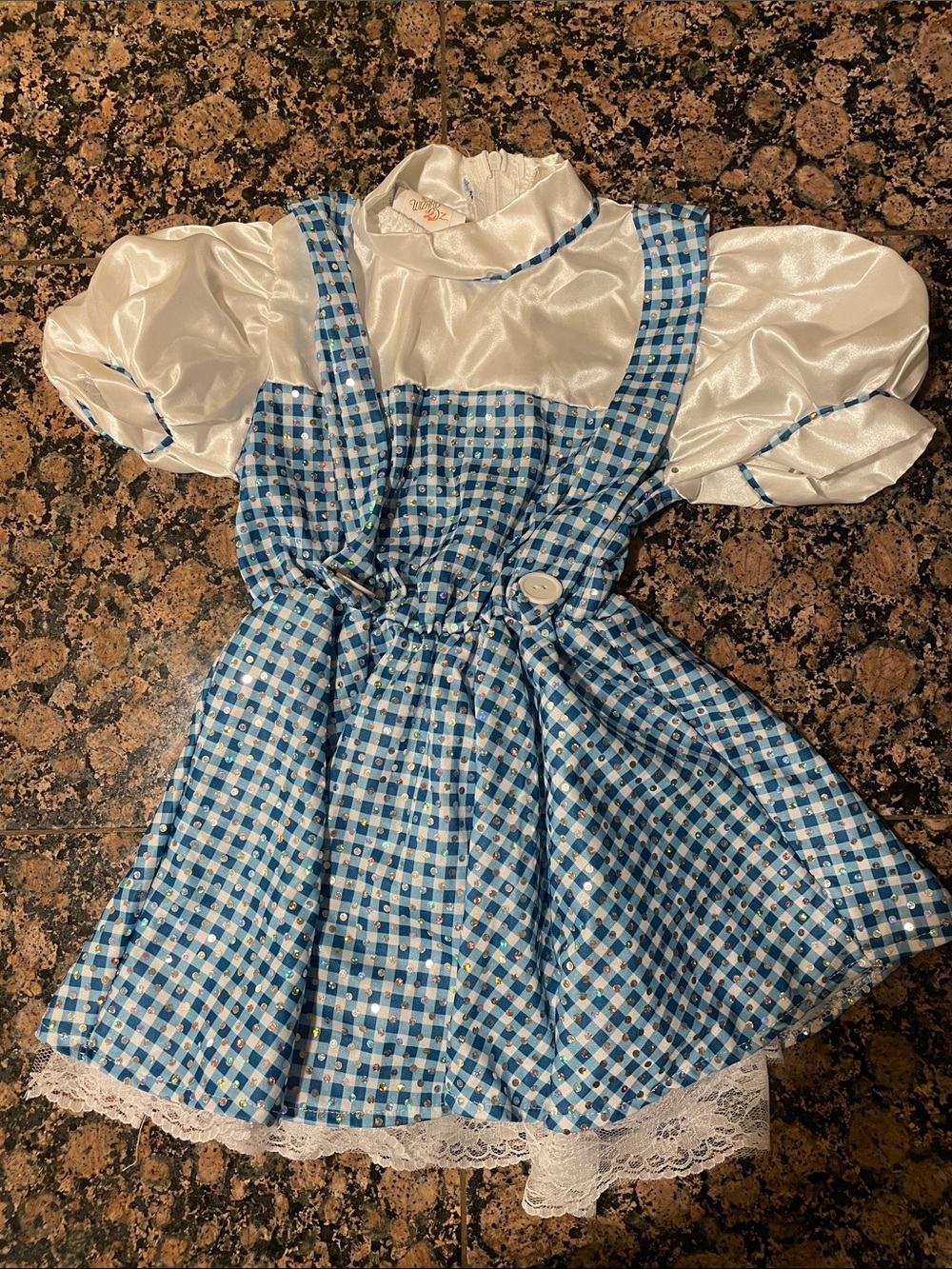 Dorothy Wizard of Oz Blue Gingham Girl's Costume Dress with White Satin Blouse